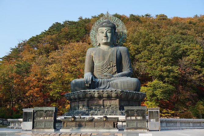 [Premium Private Tour] Mt Seorak & East Sea or Nami island from Seoul - Seoraksan National Park and Sinheungsa Temple: calm first, then views