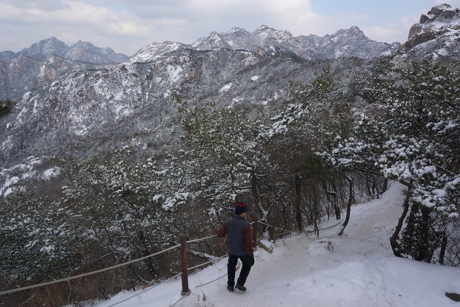 Private Bukhansan Hiking Tour (More Members Less Cost per Person) - Who this tour suits best (and who should think twice)