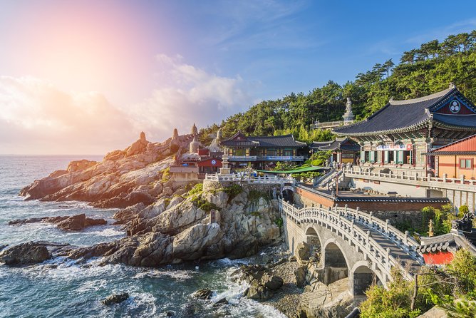 Private Busan Tour with hidden gem of Busan by Local Guide - Haeundae Market for Snacks and Local-Style Shopping