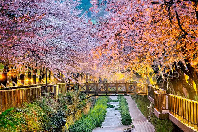 Private Custom Tour With a Local Guide in Busan - Key Highlights You Should Know Before Booking