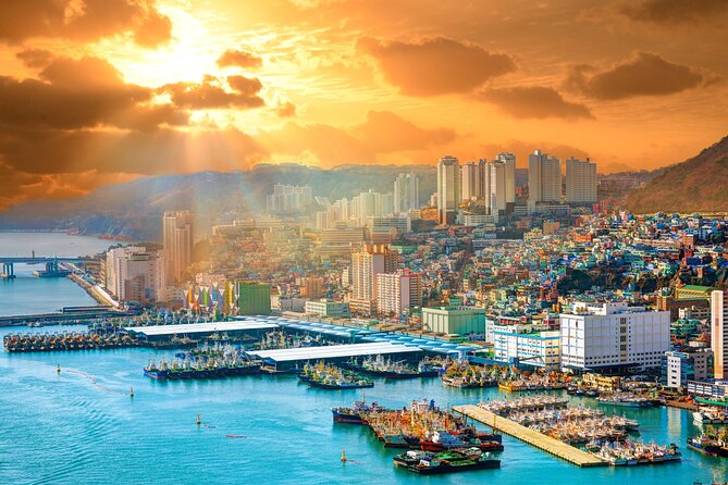 Private Custom Tour With a Local Guide in Busan - Price and Value: Is $84.08 Reasonable for This Kind of Tour?