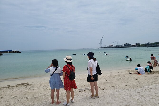 Private Day tour East & south & west of All area in jeju island - Woljeongri Beach: The Emerald Sea Warm-Up