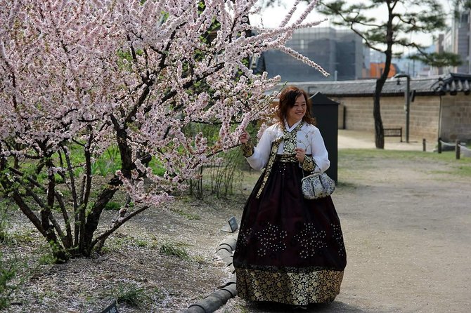 Private day tour Korea(Seoul trip) with Professional Photographer - Folk village and Everland plus fortress views