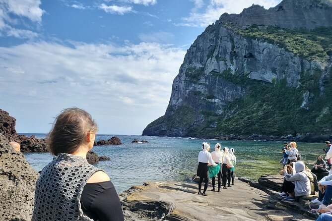 Private Day Tour With Best Jumbo Taxi Driver Tour in jeju island - Jeju Stone Park: stone culture as an island theme