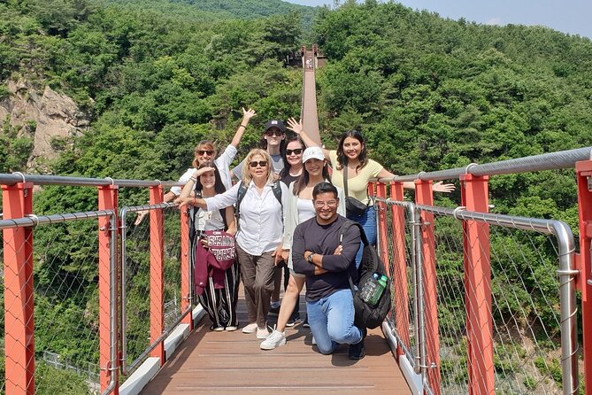 Private DMZ Tour and Suspension Bridge + Korean BBQ - The real draw: a guided DMZ visit, not just a sightseeing day