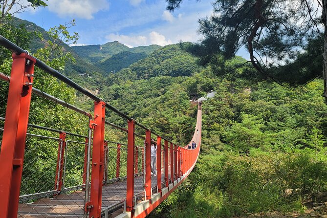 Private DMZ Tour and Suspension Bridge + Korean BBQ - Stop 2: The DMZ itself, how the rules shape the experience