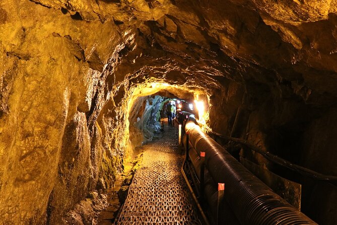 Private DMZ Tour (No Shopping): 3rd Tunnel & Suspension Bridge - Why the Seoul DMZ Feels Different in Private Comfort