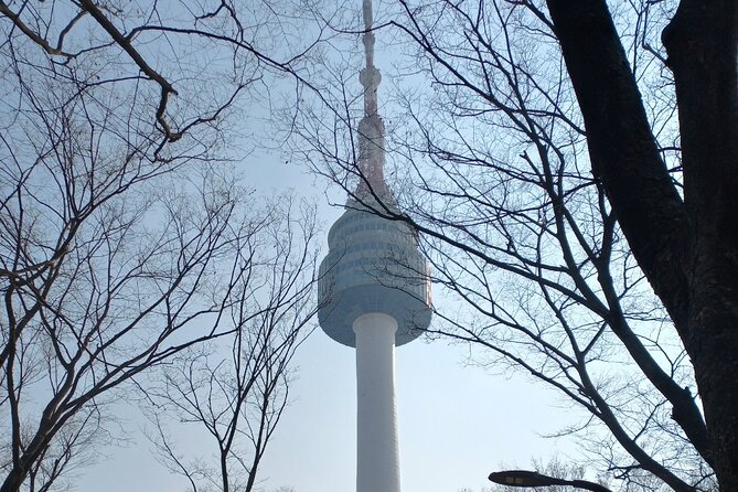 Private Full Day Seoul City Tour and N Tower Cable Car - Namsan cable car and N Seoul Tower area: big views, no observatory