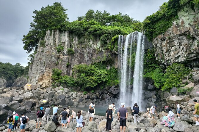 Private Half Day South and West Tour in Jeju Island - Daepo Jusangjeolli Cliff, basalt pillars that look carved