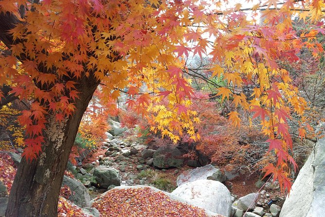 Private Hiking to Bukhansan & Korean Style Spa(Include Lunch) - Lunch Near Bukhansan: Real Food, Not Just Fuel