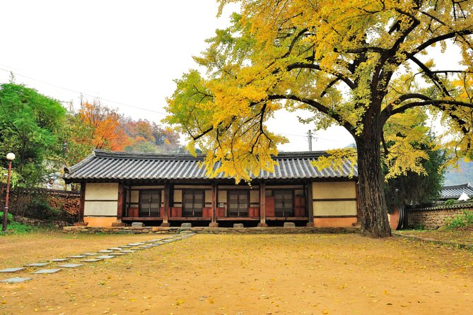 Private Jeonju Hanok Village - Culinary tour - Timing, stamina, and what to expect from the pace