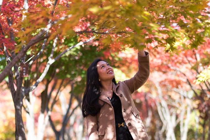 Private Nami Island Photo Shoot and Tour with a Photographer - Photo package details: choosing between the 300 and the 30