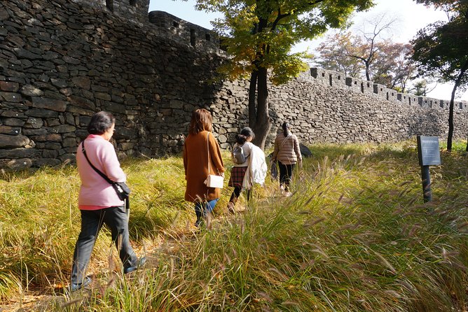 Private Seoul Wall Trekking [Inwangsan, Bugaksan, Naksan Park, N-Seoul Tower] - Mt. Namsan and the N Seoul Tower view: the payoff for your effort