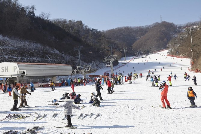 Private Ski Tour(Lesson) near Seoul at Elysian Gangchon Resort - Key points to know before you go
