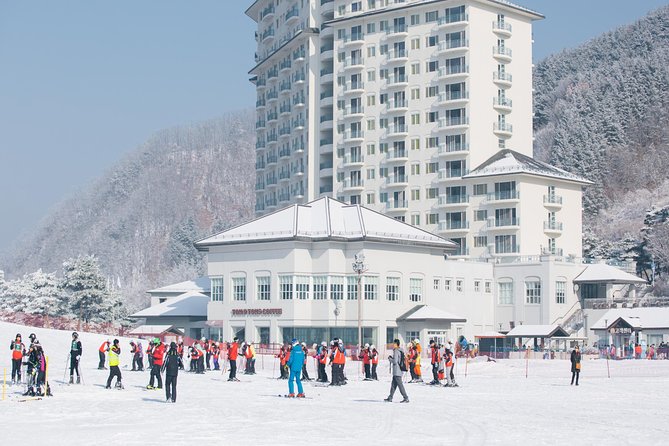 Private Ski Tour(Lesson) near Seoul at Elysian Gangchon Resort - Private 2-hour coaching in a 2 to 5-person group that actually helps