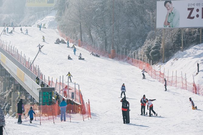 Private Ski Tour(Lesson) near Seoul at Elysian Gangchon Resort - Price and value: where $228 per person makes sense