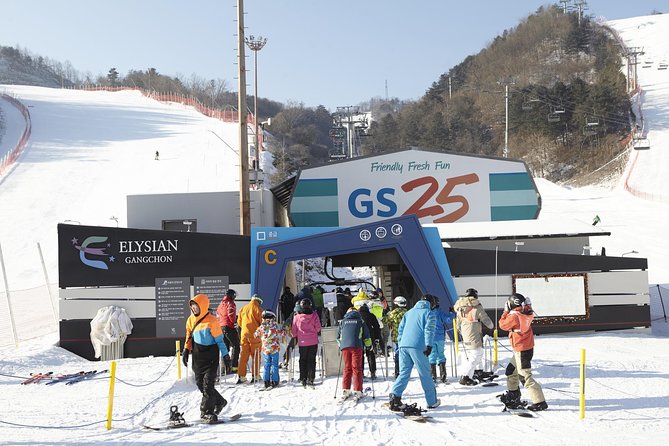 Private Ski Tour(Lesson) near Seoul at Elysian Gangchon Resort - What the rating tells you, and what to watch for