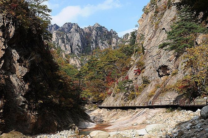 Private Tailor-made Seoul tour with Licensed Guide - Winter Sonata style filming area: a slower change of scene