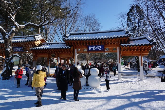 Private Tour: DMZ Aegibong & Korean Culinary Workshop Experience - Price and logistics for a private Seoul DMZ day