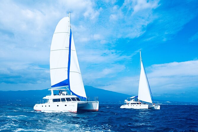 Private Tour in South Jeju including Yacht Cruise - Key highlights you should know before you go