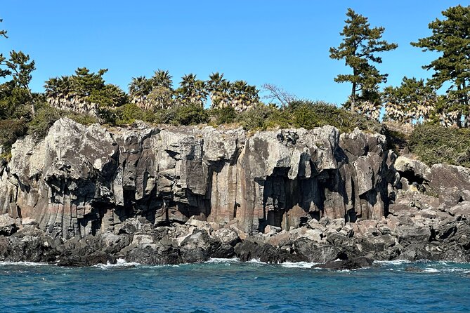 Private Tour in South Jeju including Yacht Cruise - The big idea: cool nature, clear pacing, private comfort