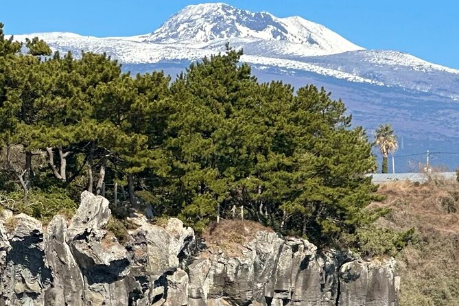 Private Tour in South Jeju including Yacht Cruise - 1100 Altitude Wetland on Mt. Hallasan: a cool start with meaning
