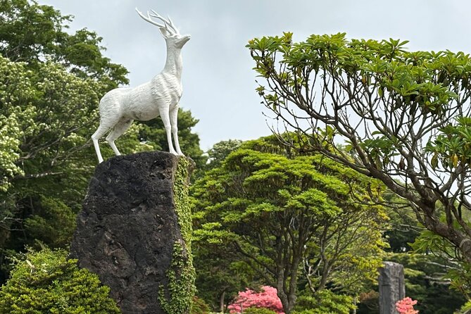 Private Tour in South Jeju including Yacht Cruise - OSulloc Tea Museum and Innisfree Jeju House: reset your senses