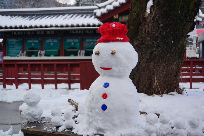 Private Tour: Nami Island& (Alpaca World 'or' Morning Calm)&Lunch - Your guide experience: from Mr Kim to Alfonso to BJ