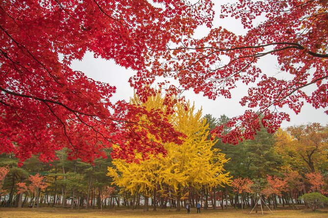 (Private tour) Nami Island + Railbike + Garden of morning calm - Pickup, timing, and transportation that actually helps