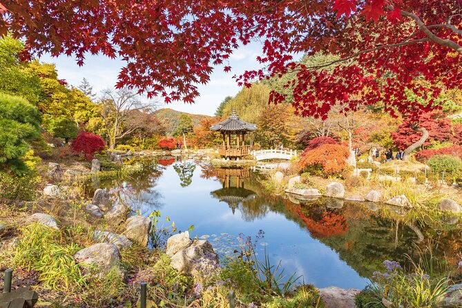 (Private tour) Nami Island + Railbike + Garden of morning calm - Gangchon Rail Bike: scenery with motion, not waiting