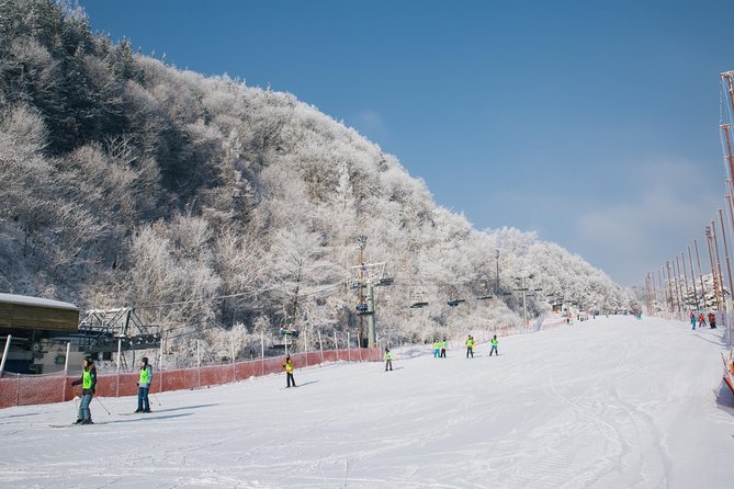[Private Tour] Nami Island & Snow Viewing and Snow sled (More Members Less Cost) - How this private Nami Island and Elysian day runs