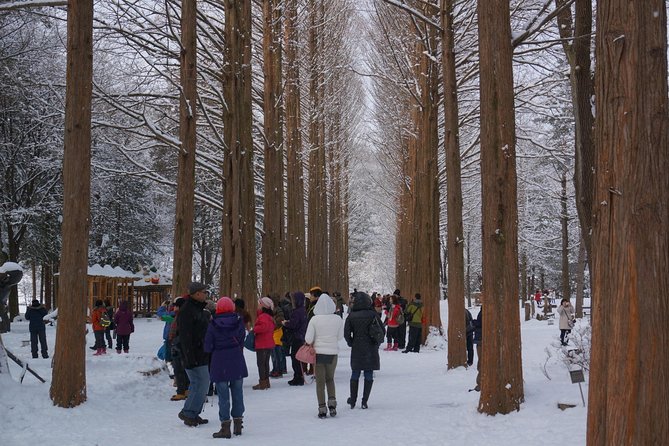 [Private Tour] Nami Island & Snow Viewing and Snow sled (More Members Less Cost) - Elysian Gangchon snow viewing and snow sled, built for winter fun