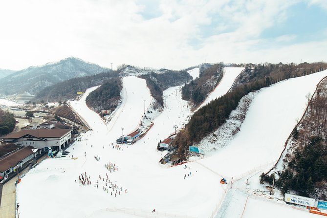 [Private Tour] Nami Island & Snow Viewing and Snow sled (More Members Less Cost) - What’s included, and why it affects your actual day