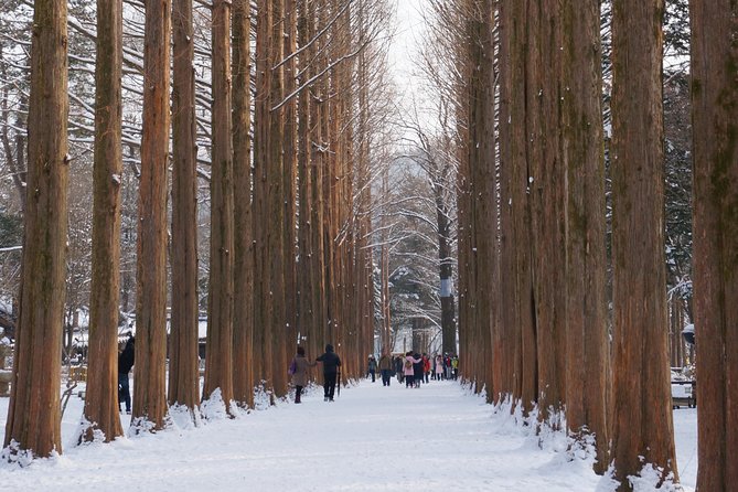 [Private Tour] Nami Island & Snow Viewing and Snow sled (More Members Less Cost) - Private guide value: attention, pacing, and less winter hassle
