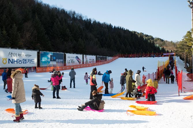 [Private Tour] Nami Island & Snow Viewing and Snow sled (More Members Less Cost) - What to wear and pack for a cold day that includes snow