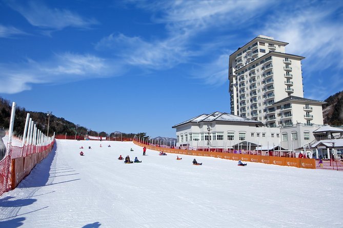 [Private Tour] Nami Island & Snow Viewing and Snow sled (More Members Less Cost) - Who this tour suits best, and who might rethink it