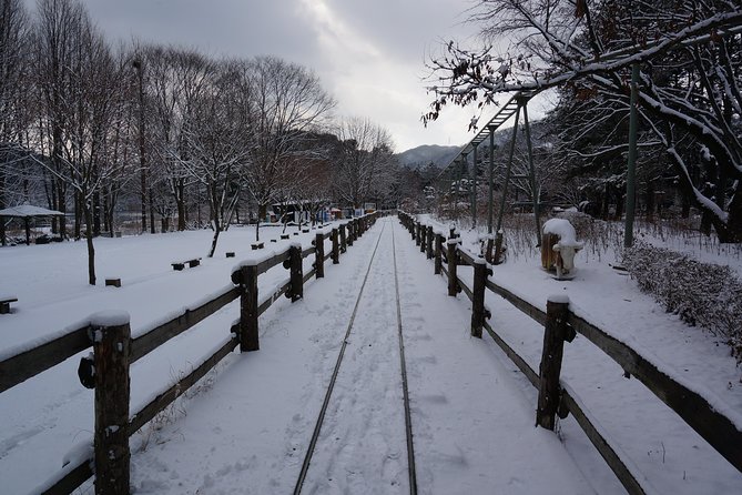 Private Tour Rail Bike & Nami Island & (Petite France or Garden of Morning Calm) - Petite France vs Garden of Morning Calm: pick the right mood