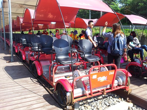 Private Tour Rail Bike & Nami Island & (Petite France or Garden of Morning Calm) - Should you book this private rail bike day trip?