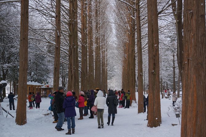 Private Tour Rail Bike & Nami Island & (Petite France or Garden of Morning Calm) - Gapyeong Rail Park rail bikes on old tracks, along the river