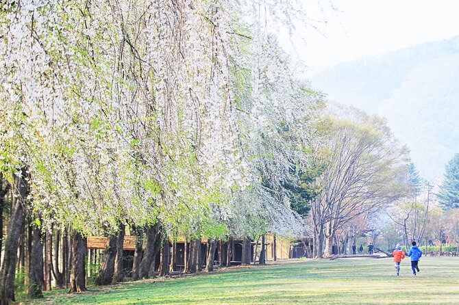 Private Tour to Alpaca world &Nami Island& Railbike with Tickets - Price and Value at About $241.36 Per Person