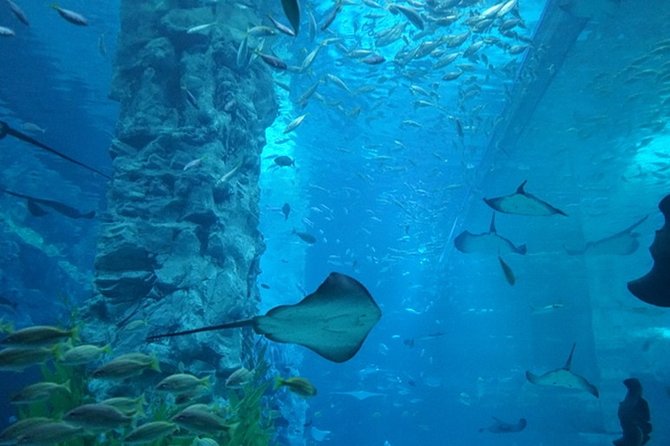Private Tour to Lotte Tower, Aquarium and Lotte world Theme park - Seoul Sky on floors 117-123, panoramic views without the guessing