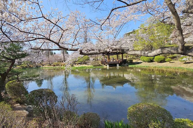 Private World Heritage Gyeongju Taxi Tour - Pickup, Meeting Point, and How Not to Lose Time