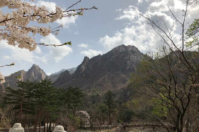 Seoraksan and Cherry Blossom Lake 1 day trip from Seoul - Key highlights worth your attention
