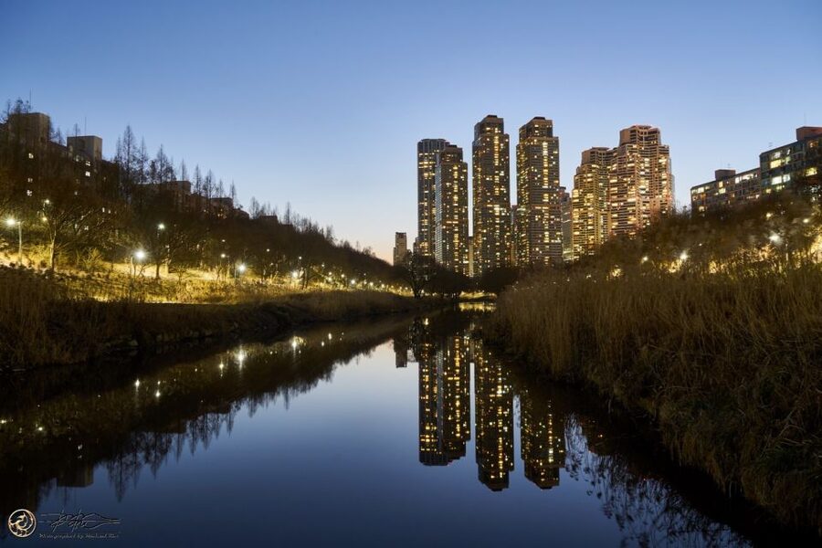 Seoul: 4-Hour Gangnam Walking Tour With Customized Itinerary - Getting Oriented in Gangnam With a Private Guide