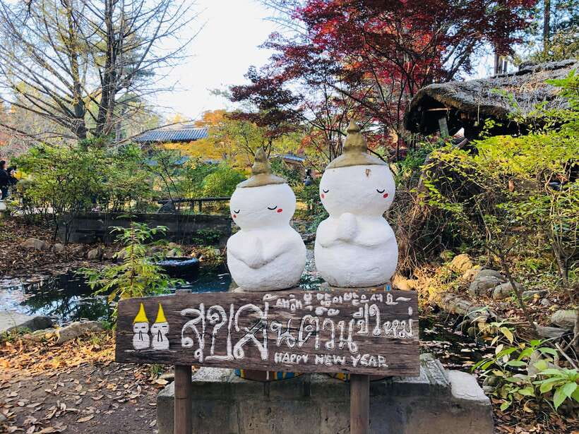 Seoul: Alpaca, Nami, Morning Calm or Eobi (+Rail Bike) - Alpaca World: fluffy, quiet, and actually interactive