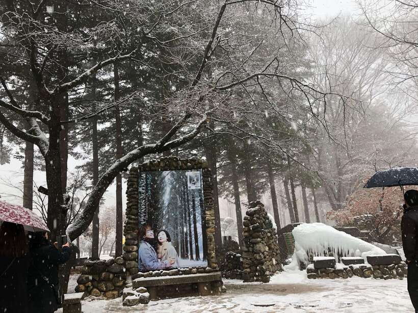 Seoul: Alpaca, Nami, Morning Calm or Eobi (+Rail Bike) - Morning Calm gardens or Eobi Ice Valley: the winter swap that changes the whole mood