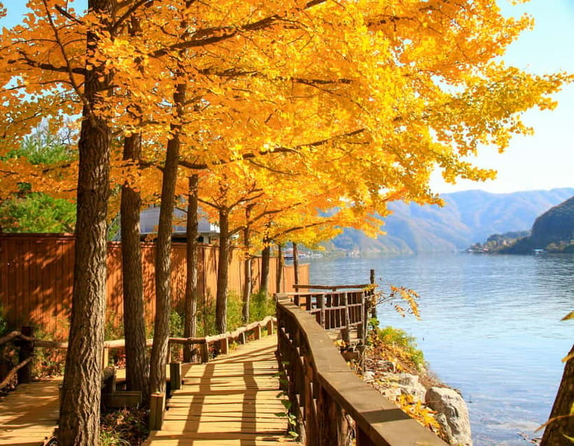 Seoul: Alpaca World & Nami Island optional Gangchon Railbike - Key highlights to expect