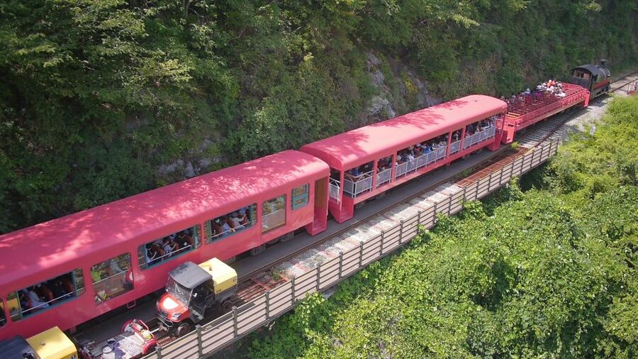 Seoul: Alpaca World & Nami Island optional Gangchon Railbike - Price and value check: what your $71 is really covering