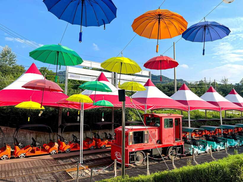 Seoul: Alpaca World & Nami Island optional Gangchon Railbike - Practical tips for a smoother, more fun day