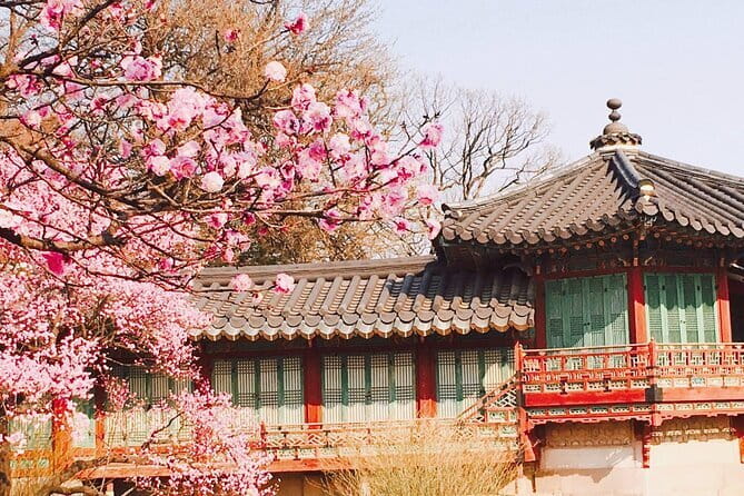 Seoul and Suburbs Private Customized Tour - Why this itinerary ordering often works